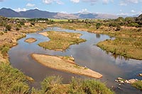 Afrique du Sud : parc Kruger