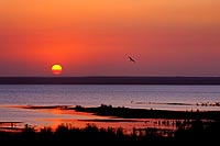 Afrique du Sud : Greater St Lucia Wetland Park