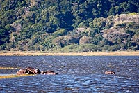 Afrique du Sud : Greater St Lucia Wetland Park