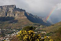 Afrique du Sud : Le Cap (Cape Town)