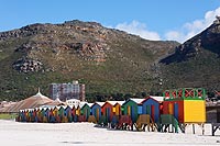 Afrique du Sud : Muizenberg