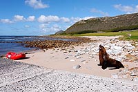 Afrique du Sud :