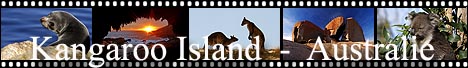 Photos et rcit de voyage Kangaroo island, Australie.