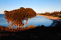 Australie, Kangaroo island