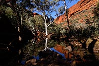 Australie experience : Stuart Highway