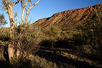 Australie experience : Stuart Highway