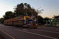 Australie, Stuart Highway