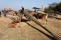 Myanmar Birmanie experience : marché aux bambous de Nam Pan, Lac Inlé