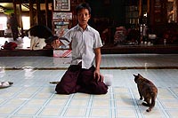 Myanmar Birmanie experience : monastère Kyaung Nga Hpe, Lac Inlé