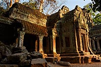 Cambodge Experience : Ta Prohm