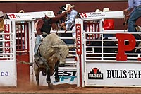 canada experience : calgary rodeo, alberta