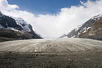 canada experience : columbia icefields parkway, jasper national park,alberta