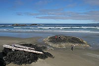 canada experience : pacific rim national park, île de vancouver, colombie britannique