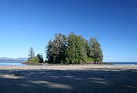 canada experience : florencia bay, pacific rim national park, île de vancouver, colombie britannique