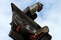 canada experience : victoria thunderbird park, île de vancouver, colombie britannique