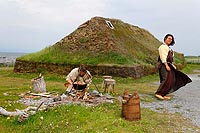 Terre-Neuve experience : site national historique de l'anse aux meadows