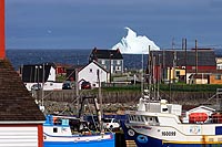 Terre-Neuve experience : bonavista bay