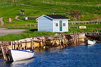 Terre-Neuve experience : ferryland