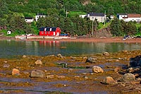 Terre-Neuve experience : norris point - gros morne national park