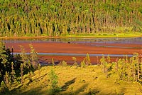 Terre-Neuve experience : terra nova national park