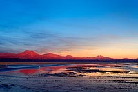 Chili, désert Atacama : laguna Chaxa