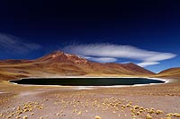Chili, désert Atacama : lagunas Miñique