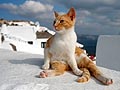 Photos et récit d'un voyage en Grèce