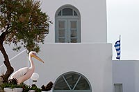 Grèce experience : île de mykonos