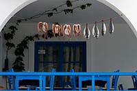 Grèce experience : île de paros