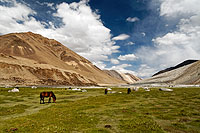 Ladakh, Inde du Nord