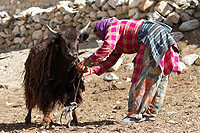 Ladakh, Inde du Nord