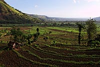 Bali experience : route côtière entre candidasa et amed