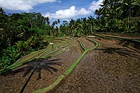 Bali experience : gunung kawi