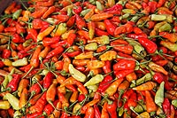 Bali experience : marché de Pacung