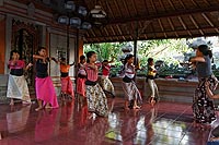 Bali experience : Ubud