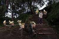 Java experience : kawah ijien