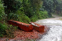 Madagascar, l'aventure du Grand Sud