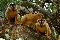 Madagascar, l'aventure du Grand Sud