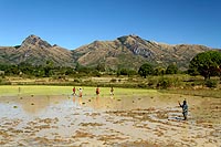 Madagascar, l'aventure du Grand Sud