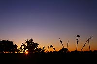 Madagascar, l'aventure du Grand Sud