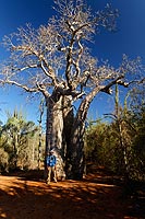 Madagascar, l'aventure du Grand Sud