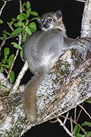 Madagascar, l'aventure du Grand Sud