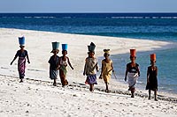 Madagascar, l'aventure du Grand Sud