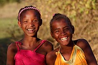 Madagascar experience : allée des baobabs