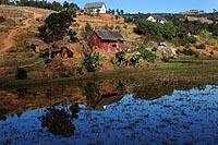 Madagascar experience : côte Est