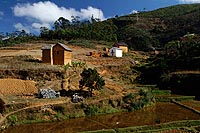 Madagascar experience : côte Est