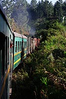 Madagascar experience : train Fianarantsao Cte Est