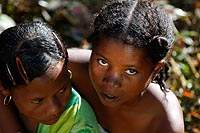 Madagascar experience : train Fianarantsao Côte Est