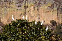 Madagascar experience : parc national de l'isalo