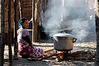 Madagascar experience : morondava et presqu'le de betania